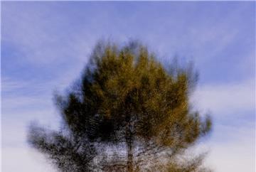21.º ENCONTRO INTERNACIONAL DE FOTOGRAFIA DE NATUREZA CIDADE DE OVAR