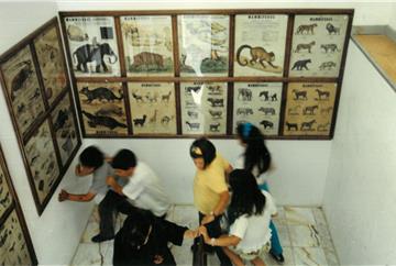 MUSEU ESCOLAR OLIVEIRA LOPES 40 ANOS DE HISTÓRIA