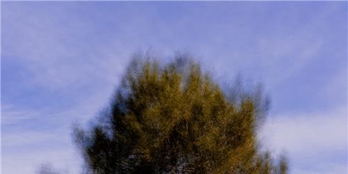 21.º ENCONTRO INTERNACIONAL DE FOTOGRAFIA DE NATUREZA CIDADE DE OVAR