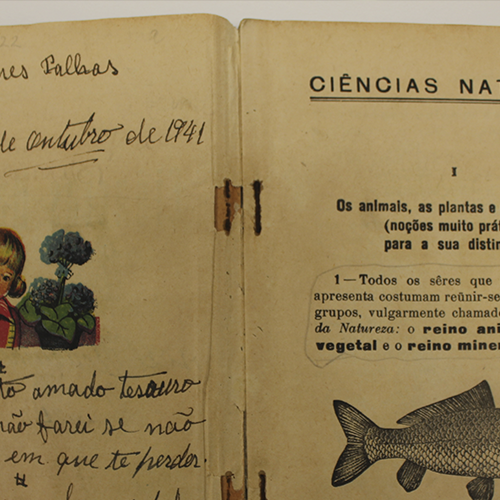 O QUE ESCONDEM OS LIVROS?