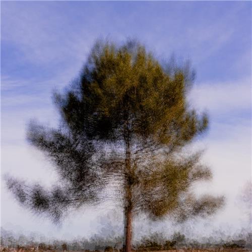 21.º ENCONTRO INTERNACIONAL DE FOTOGRAFIA DE NATUREZA CIDADE DE OVAR
