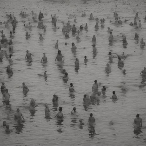 O LAGO DOS CISNES