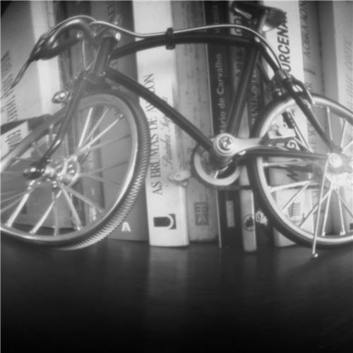Oficina criativa PinHole “Fotografar com uma lata e um furo” com António Martins Teixeira