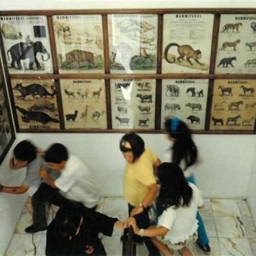 MUSEU ESCOLAR OLIVEIRA LOPES 40 ANOS DE HISTÓRIA