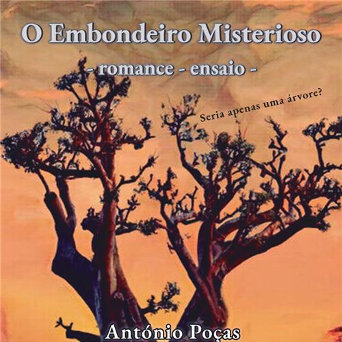 O EMBONDEIRO MISTERIOSO: ROMANCE ENSAIO