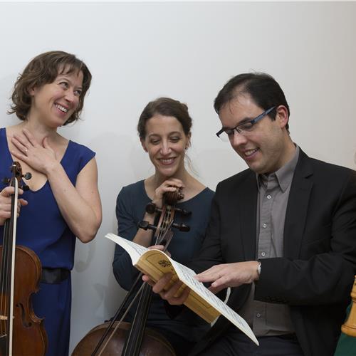 TELEMANN: CAMALEÃO - NEW COLLEGIUM (NL)